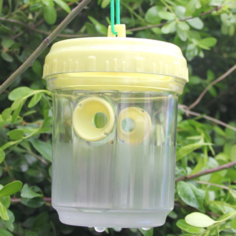 Hornet Trap Hanging Hornets Be - Gardening Tools In Store review and price