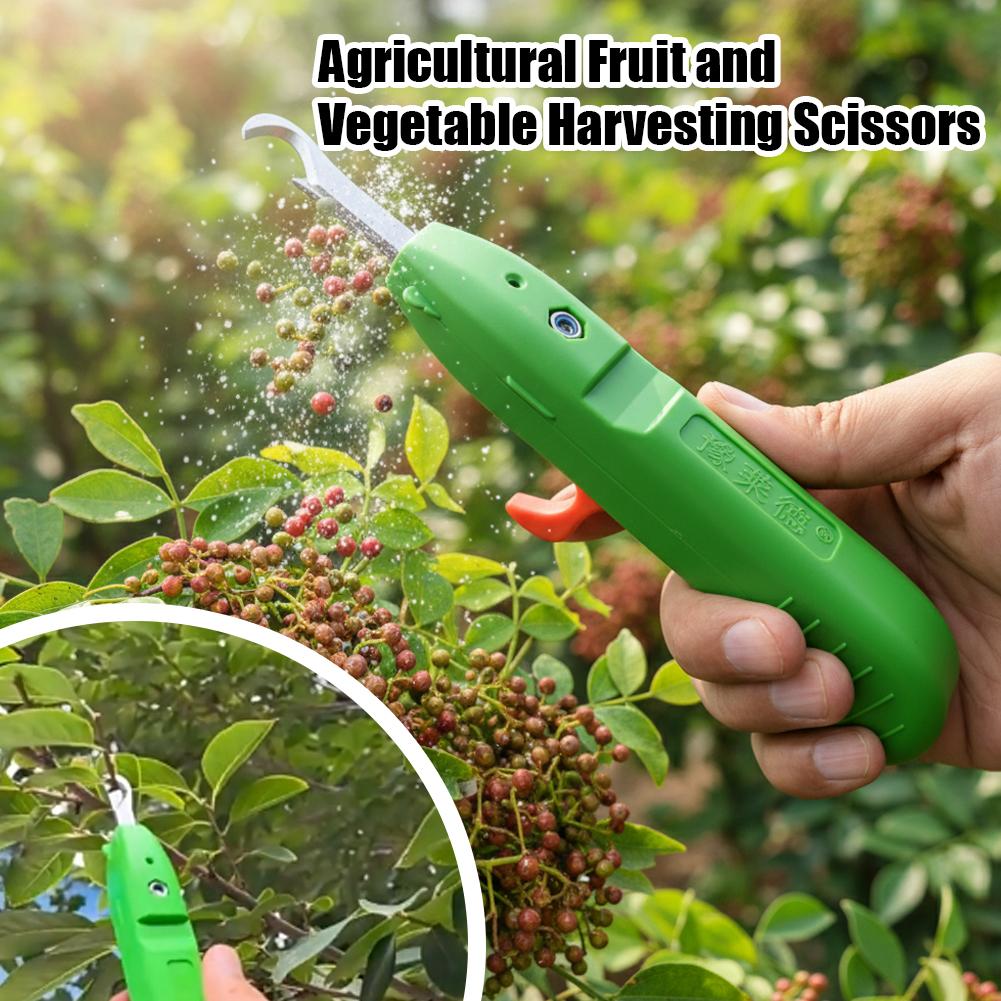 Fruit And Vegetable Picking Sh - Gardening Tools Scissors review and price