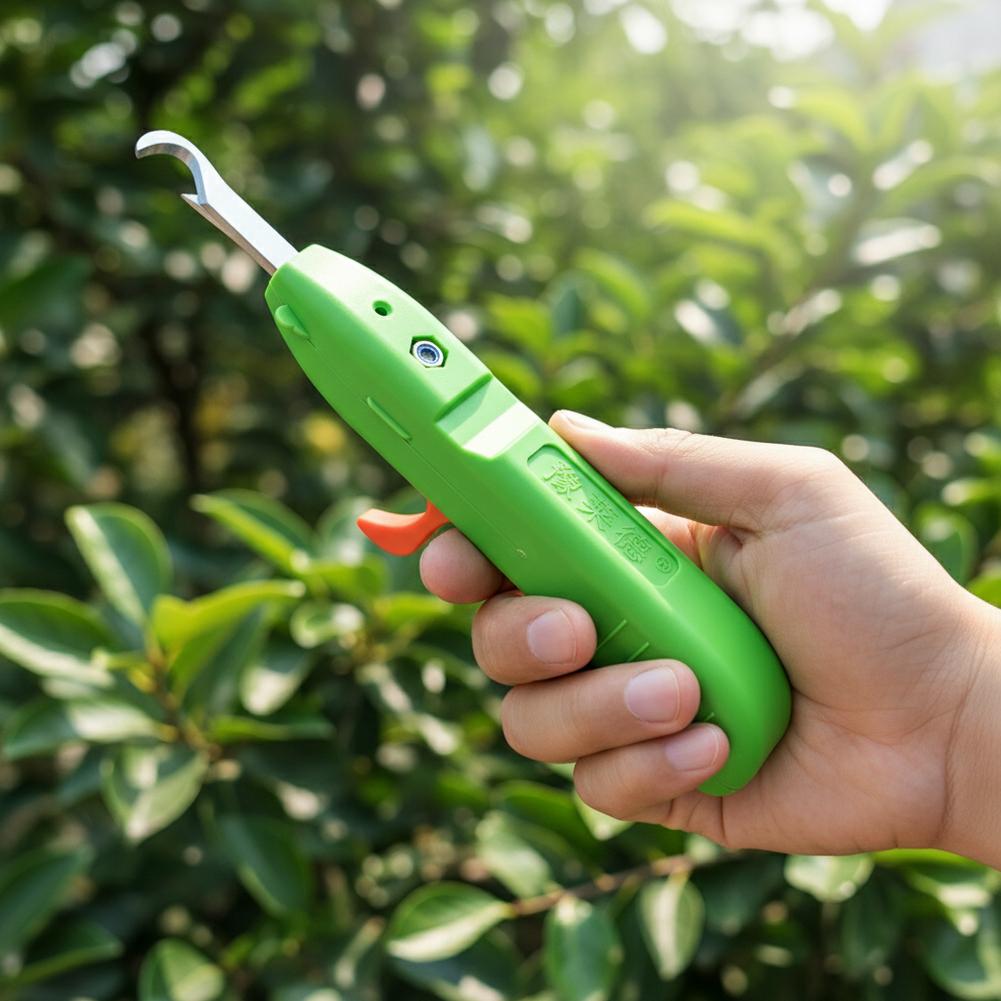 Fruit And Vegetable Picking Sh - Gardening Tools Scissors review and price