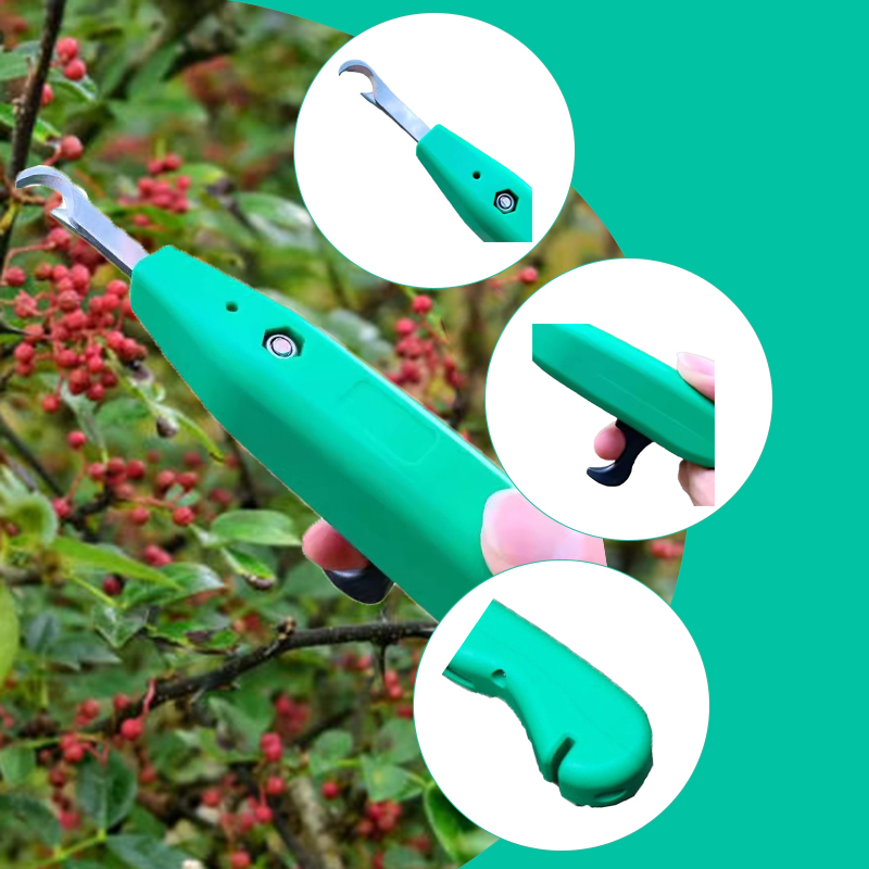 Professional Pepper Picker Han - Gardening Tools Scissors review and price