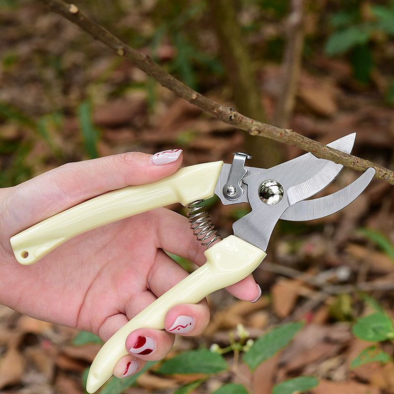 Labor‑Saving Garden Pruning Sh - Gardening Tools Scissors review and price